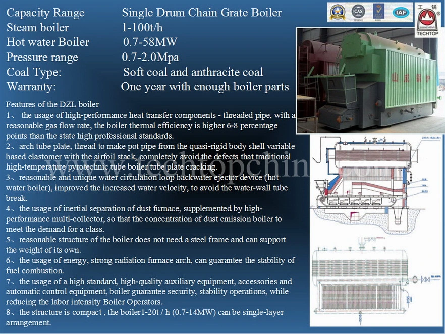 Best Dzl Biomass Boiler or Coal Fired Steam Boiler and Hot Water for Sale