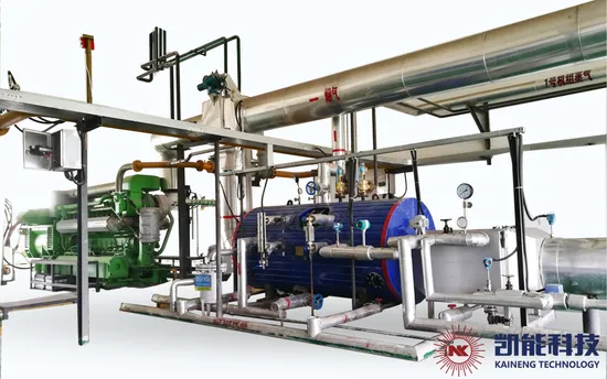 Caldaia industriale a vapore/caldaia per acqua calda con recupero del calore dei gas di scarico